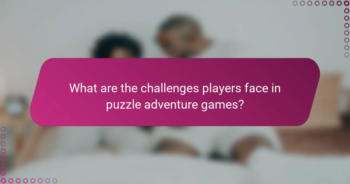 What are the challenges players face in puzzle adventure games?