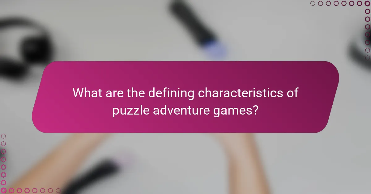 What are the defining characteristics of puzzle adventure games?