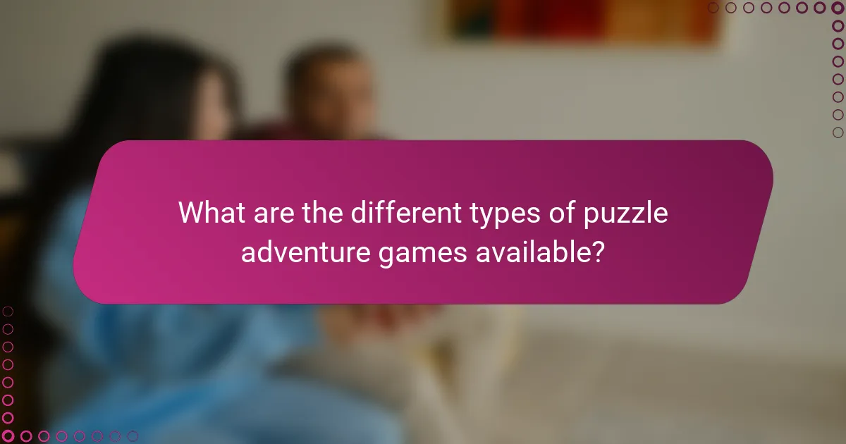 What are the different types of puzzle adventure games available?