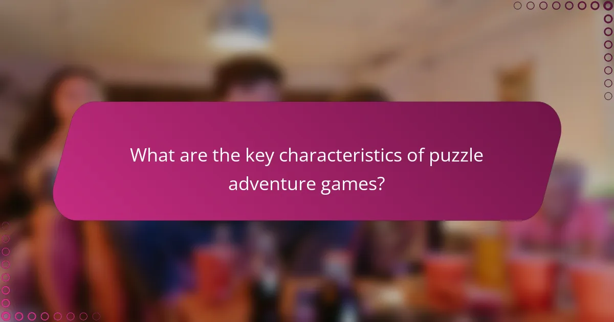 What are the key characteristics of puzzle adventure games?
